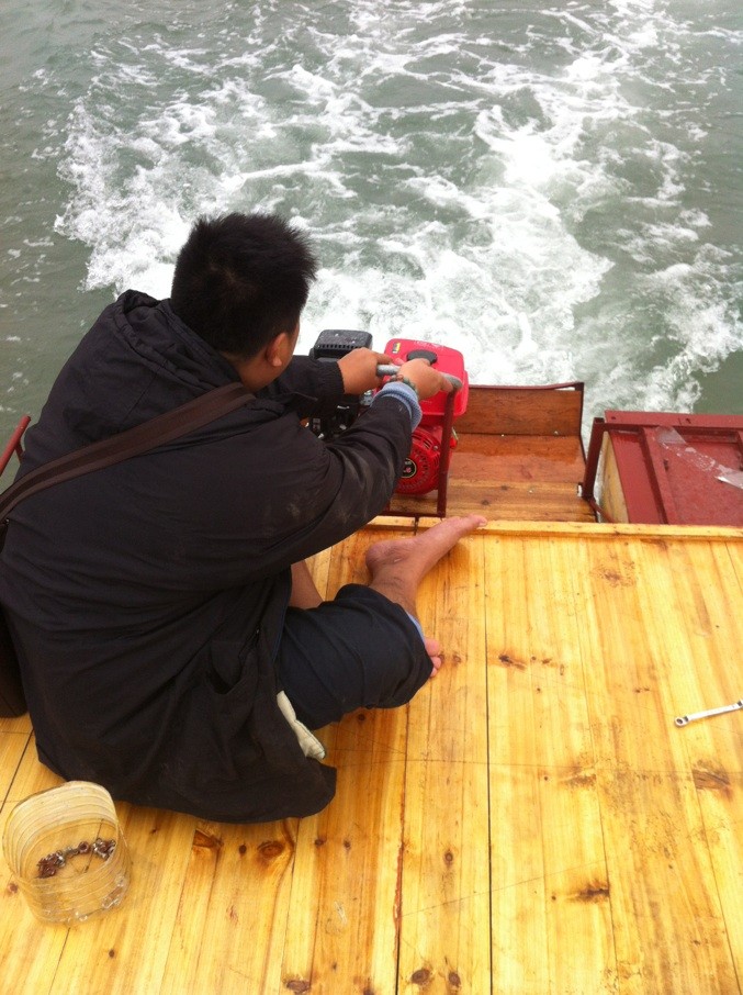 馬鯛魚是什么魚_馬鯛魚是淡水魚嗎_馬鯛魚兇不兇