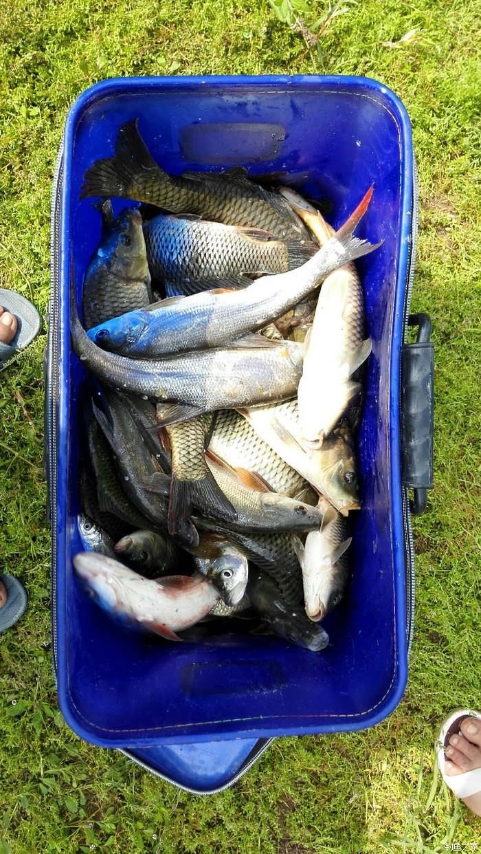 釣魚海邊地點在哪里_海邊釣魚地點_海邊野釣地點