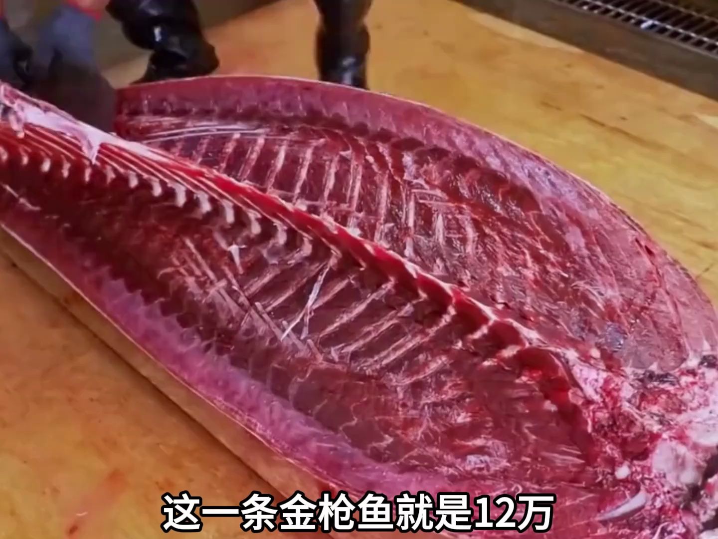 明光釣魚群_明光釣魚野釣地點_明光釣魚網