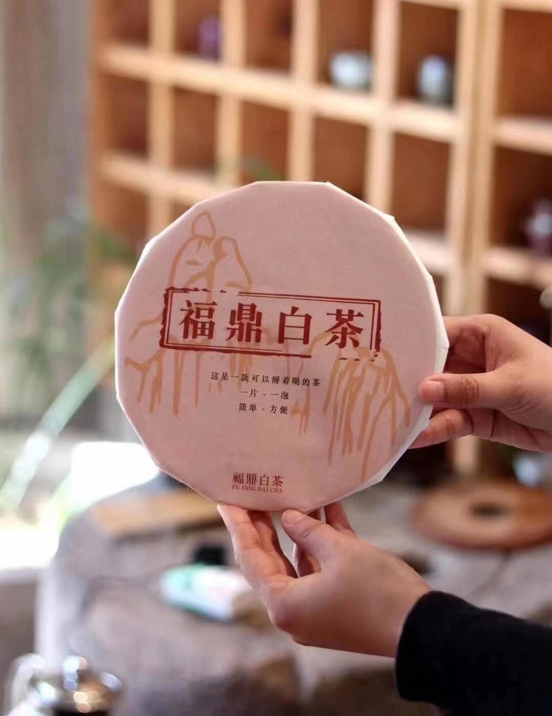 福鼎野釣地方_福鼎釣魚的地方匯總_福鼎3有那些地方好釣魚