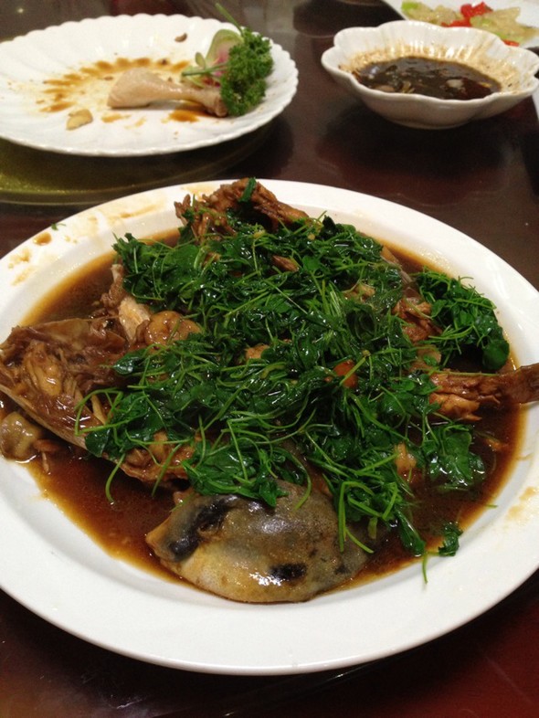 梭子魚的梭子是什么意思_梭子魚是魚類嗎_梭子魚是什么魚