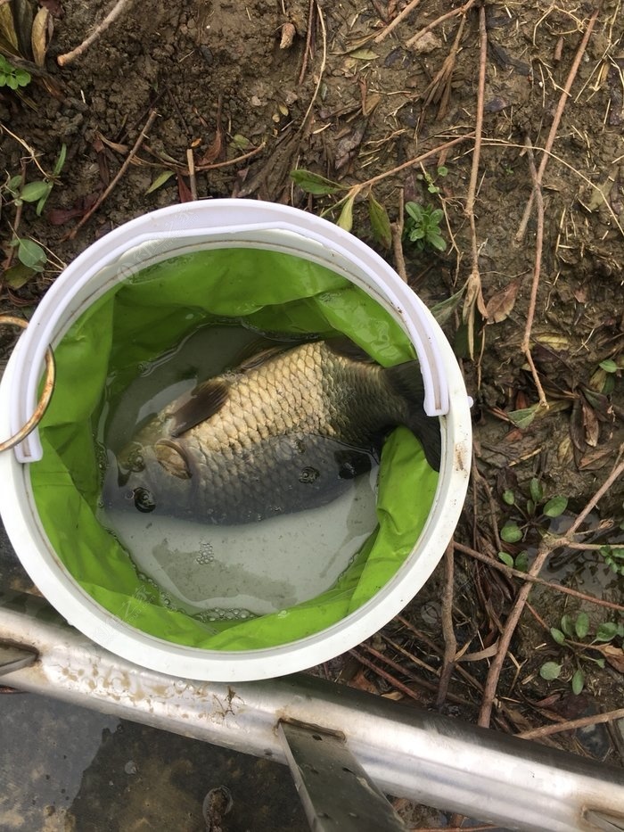 釣魚餌料配方用什么酒最好大全_釣魚餌料里面加什么酒最好_釣魚餌料配方制作方法