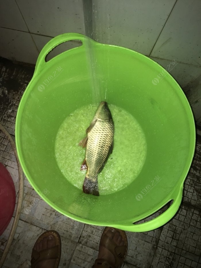 釣魚餌料里面加什么酒最好_釣魚餌料配方用什么酒最好大全_釣魚餌料配方制作方法