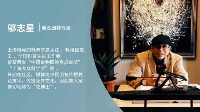 金色鯉魚的圖片_金色鯉魚圖片大全_金色鯉魚好吃嗎