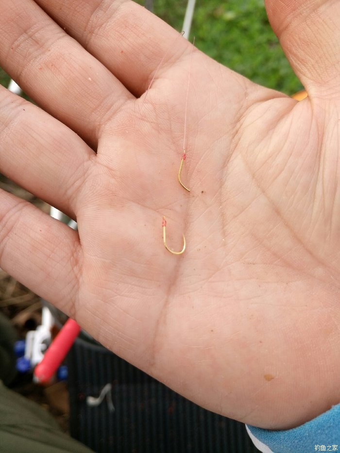 冬季野釣鯽魚線組大小搭配_冬釣鯽魚用什么線最好_冬釣鯽魚線組搭配