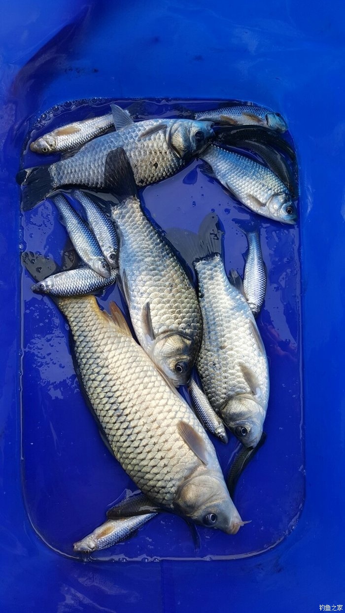 漢城湖釣魚具體地點_漢城湖釣魚開放時間_漢城湖釣魚地點