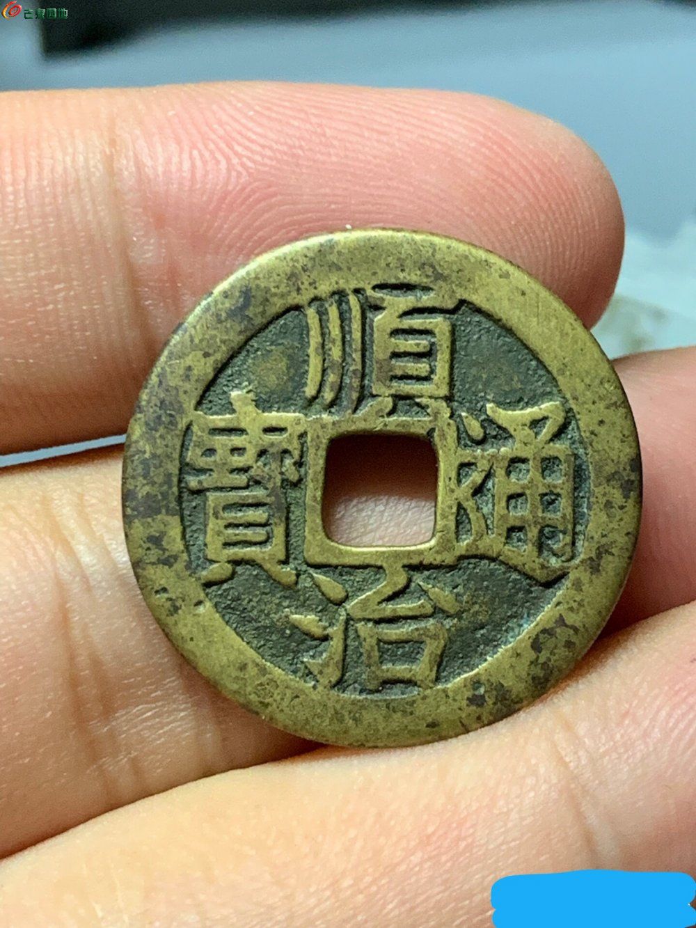 魚錢錢怎么吃_紅古魚一斤多少錢_紅加吉魚與黑加吉魚