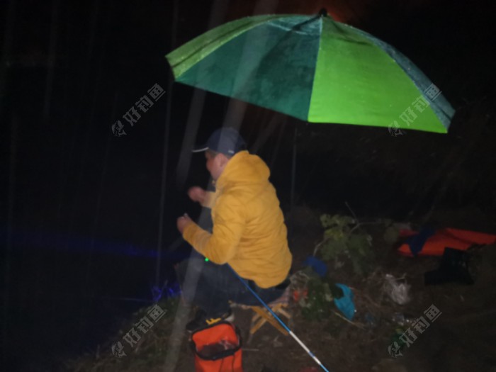 鯽魚發紅是什么病_紅鯽魚是什么魚_鯽魚變紅色是怎么回事啊