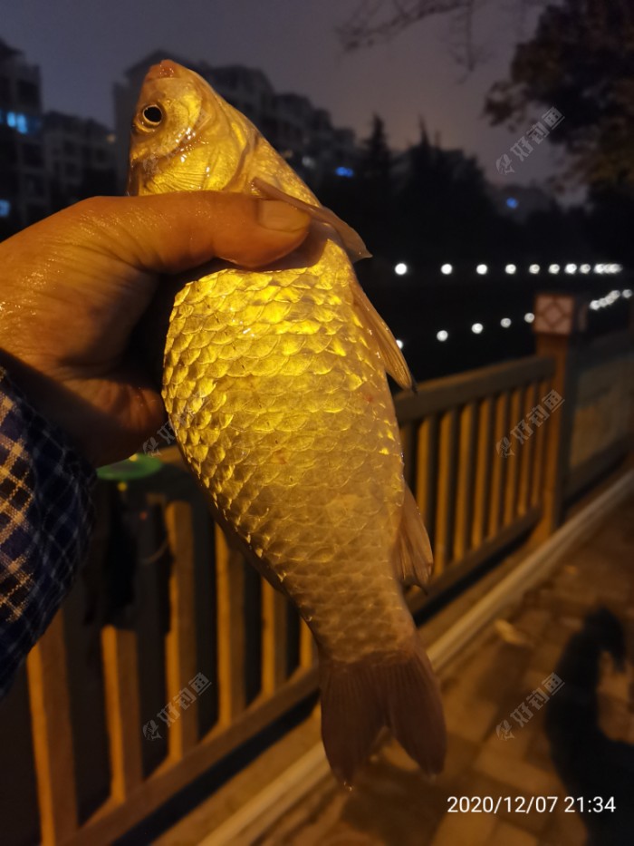 釣神傳說_神仙傳2級釣魚地點_釣魚的神仙