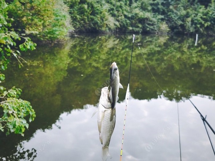 釣神傳說_神仙釣位_神仙傳2級釣魚地點