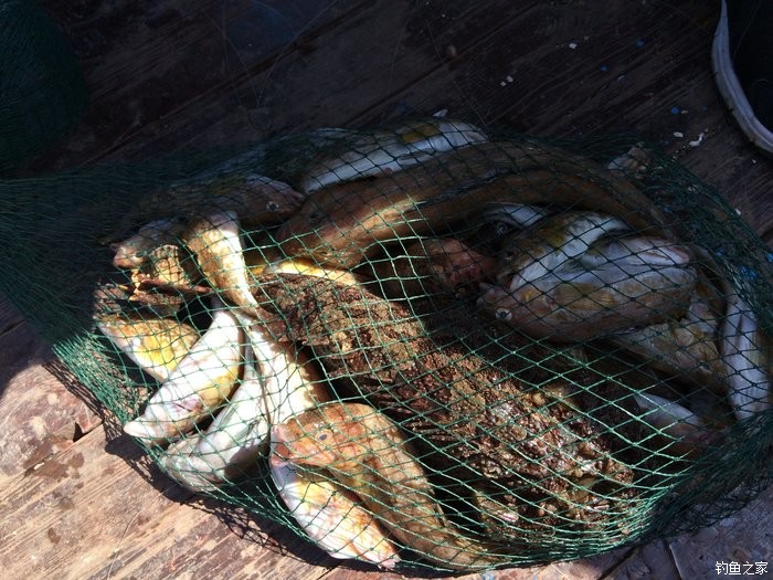 海釣船價格_海釣大船價格_海釣船價格行情