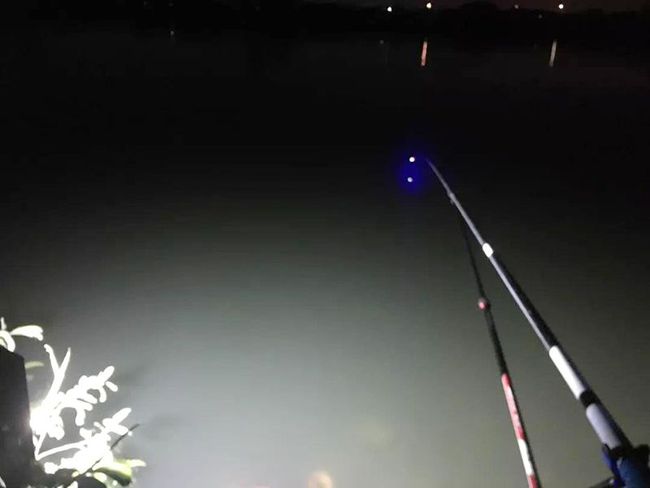 海釣大船價格_海釣船價格_海釣船價格行情