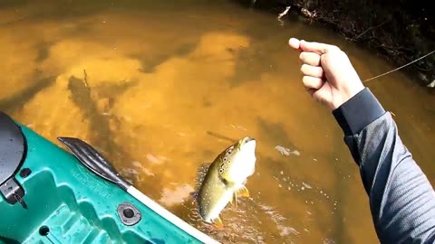 無水印釣魚視頻_釣水魚視頻教程_急水釣魚技巧視頻