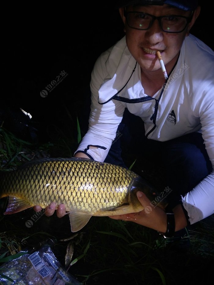 釣魚基本功教程_釣魚者什么意思_初學者釣魚個基本功