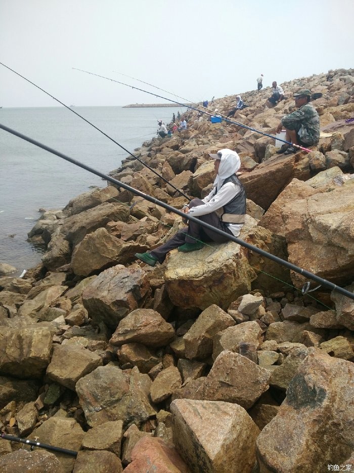 深圳釣魚網論壇_深圳釣魚網_2021深圳釣魚