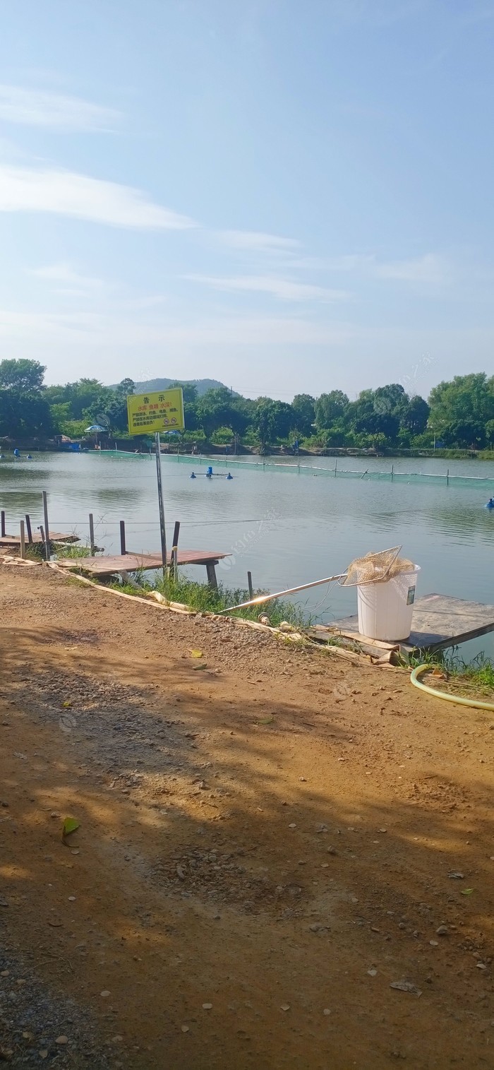 深圳釣魚網_2021深圳釣魚_深圳釣魚網論壇