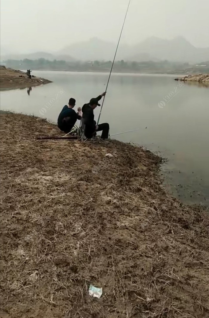 深圳釣魚網_深圳釣魚網論壇_2021深圳釣魚