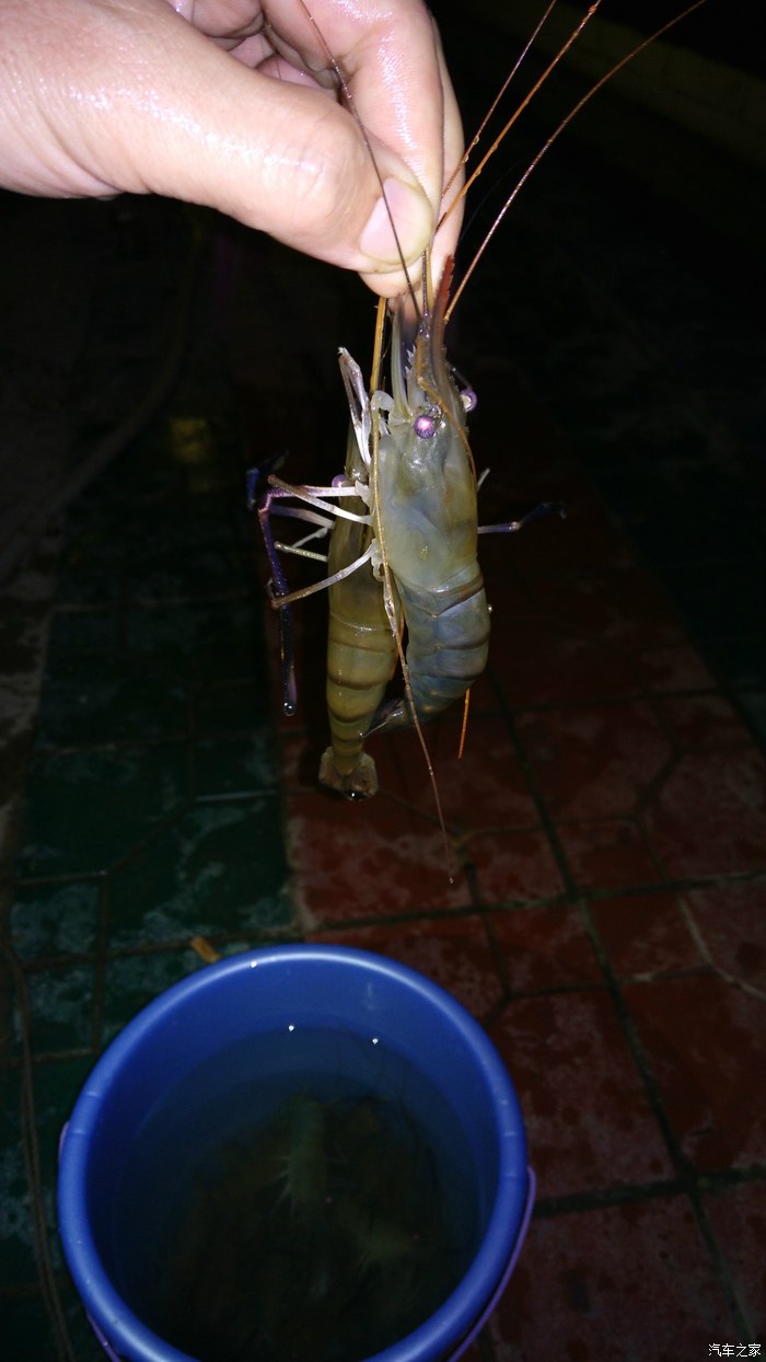 深圳釣魚網論壇_深圳釣魚網_深圳釣魚app下載