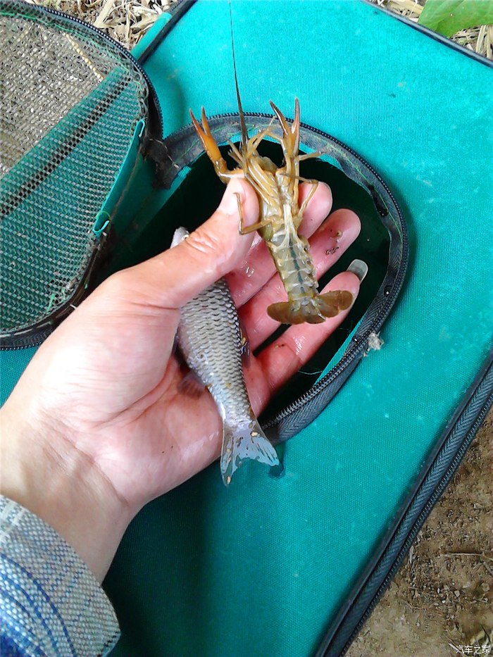 海釣沉底釣魚技巧_海釣沉底釣法_釣魚技巧海釣沉底還是浮底