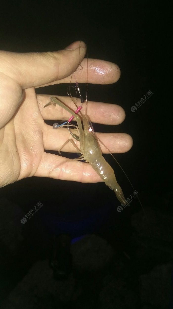 釣魚技巧海釣沉底視頻_海釣沉底釣魚技巧_釣魚技巧海釣沉底還是浮底