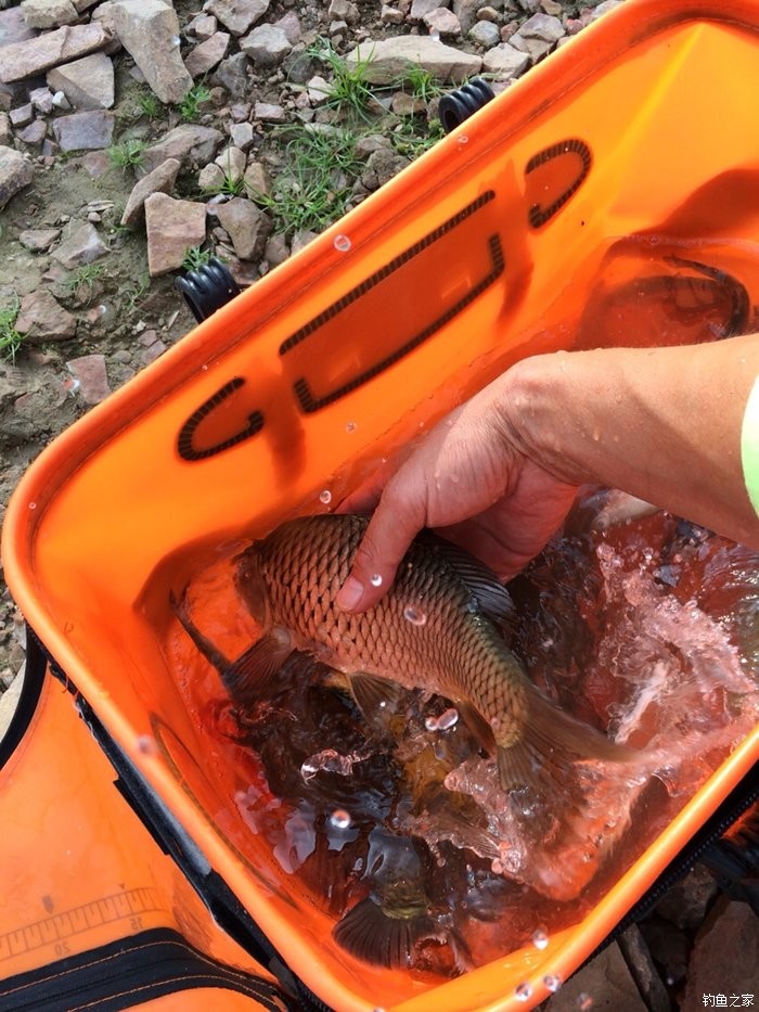 揭陽釣魚吧_揭陽釣魚網_揭陽市釣魚協會會長是誰