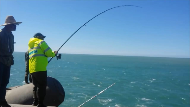 釣鯽魚冬天一般釣多深_冬季釣鯽魚要提前多久打窩_初冬釣鯽魚一天中最好時間