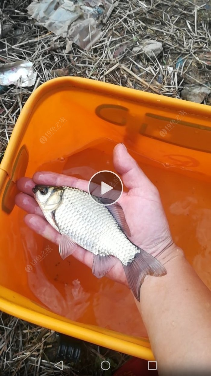 釣魚拋竿壓線的正確方法_釣魚如何壓線視頻_釣魚技巧視頻拋竿壓線的方法