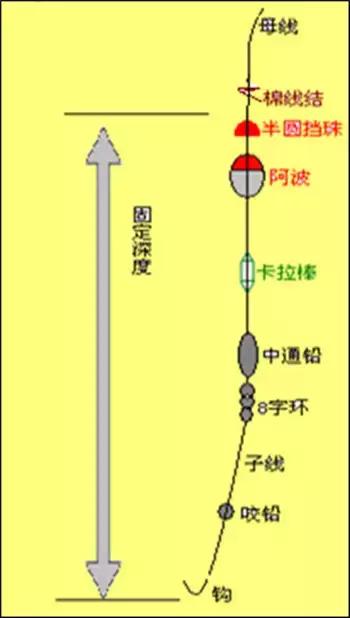 臺釣鯉魚用多大線組_野釣鯉魚多大的線組_鯉魚多大的線組