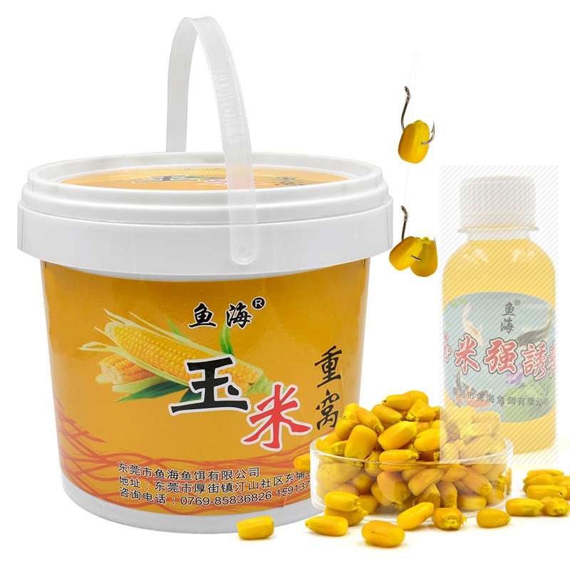 初冬釣鯽魚怎么打窩_釣鯽魚初冬打窩怎么打_釣鯽魚初冬打窩好釣嗎