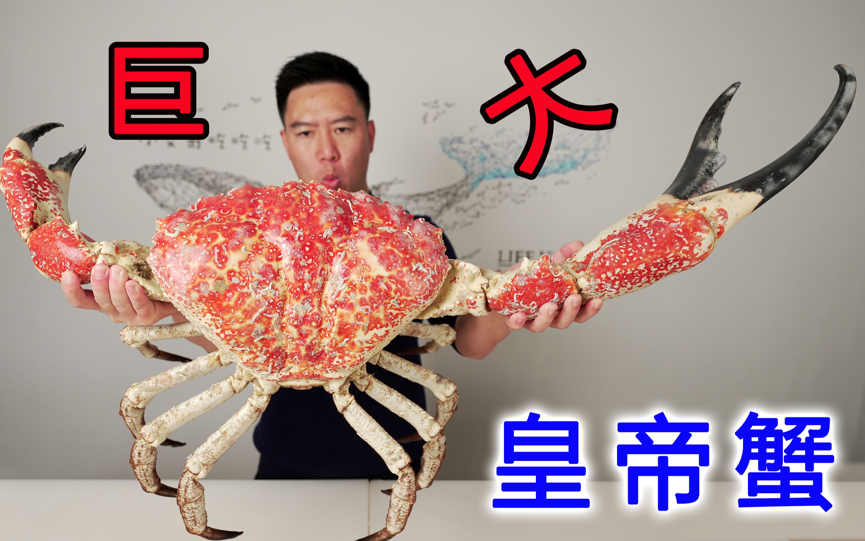 螃蟹公母有何區別_母蟹和公蟹的區別_蟹公母區別