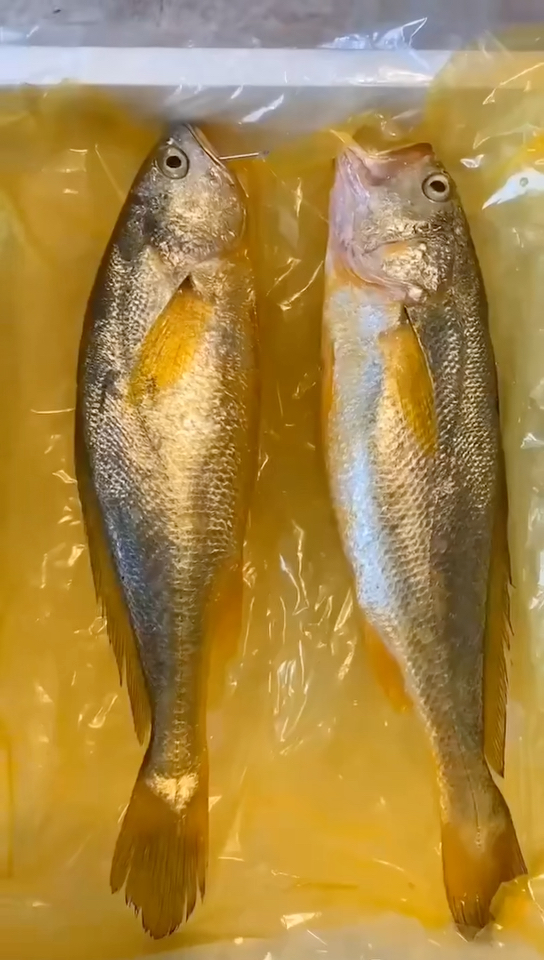 黃花魚多少錢一斤_黃花魚是金錢鳘嗎_“黃花魚”
