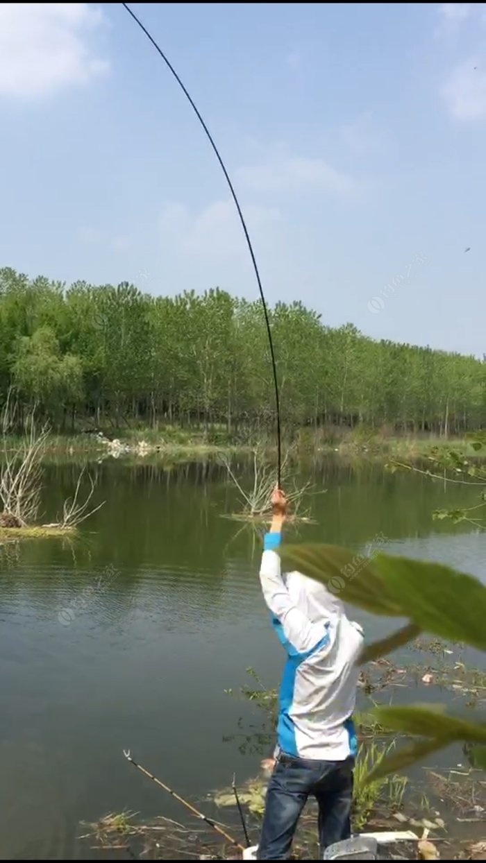 釣鯉魚釣組搭配_鯉魚搭配組線臺釣怎么樣_臺釣鯉魚線組搭配