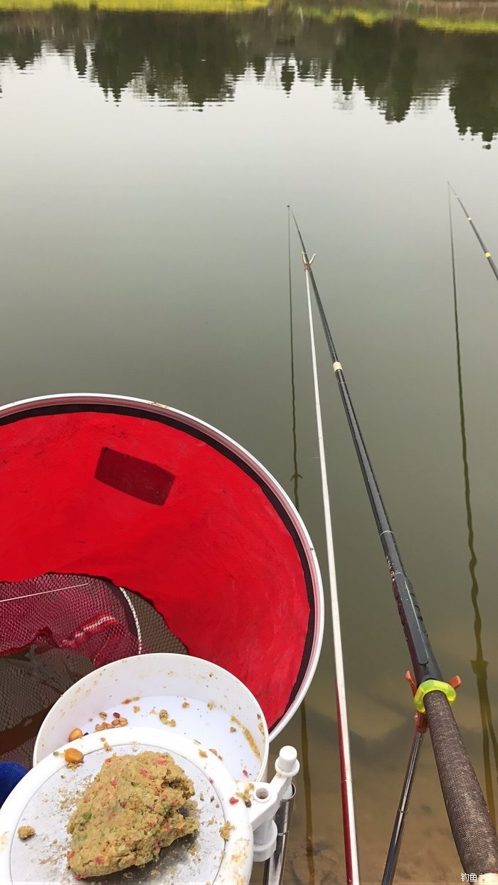 臺釣鯉魚視頻_臺釣釣鯉魚_臺釣鯉魚教學