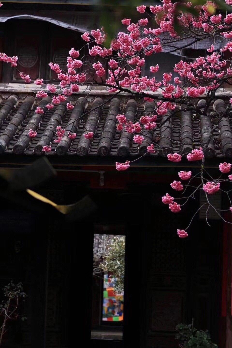 桃花流水鱖魚肥閱讀文_桃花流水鱖魚肥是什么古詩_桃花流水鱖魚肥怎么讀