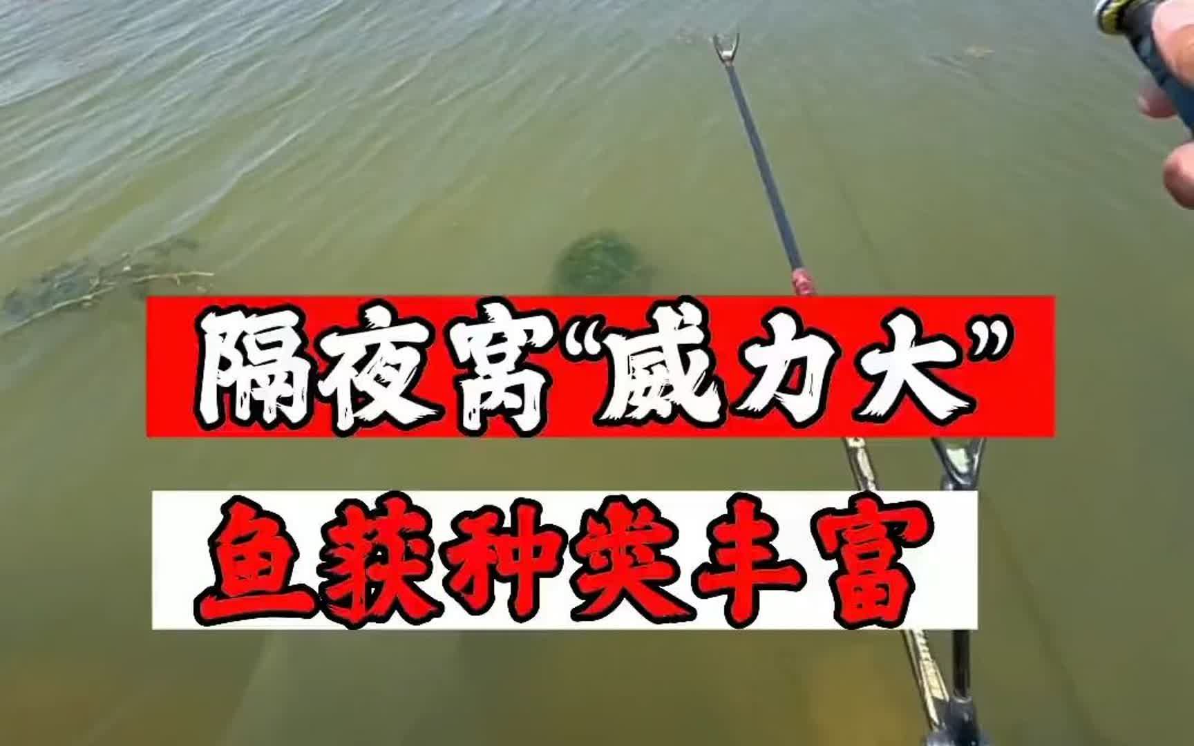 連州釣魚網_網絡做單是合法的嗎_涼菜有點酸還能吃嗎