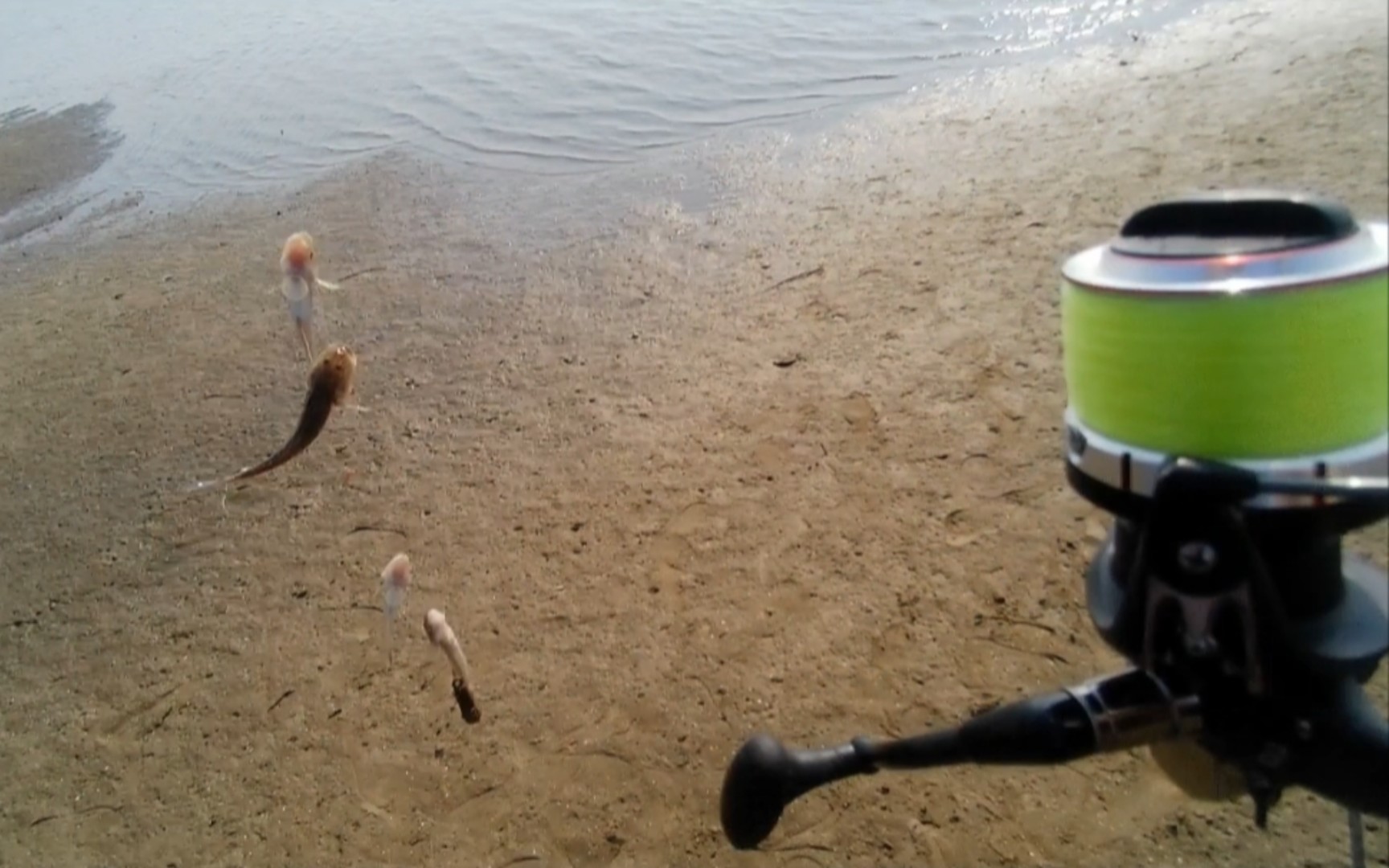 深圳釣魚海釣_深圳海釣網紅岸拋釣點_深圳海釣魚場