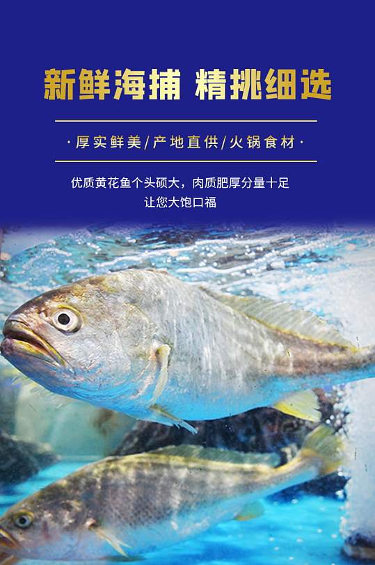 釣鯉魚餌料加蜂蜜怎么樣_蜂蜜釣鯉魚用法用量_魚餌加蜂蜜釣鯉魚