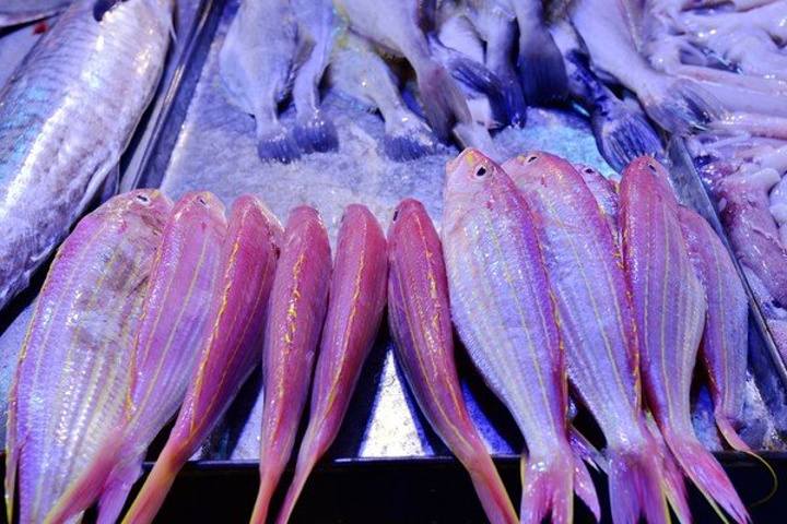 家常金鯧魚_金鯧魚多少錢一斤_金鯧魚鯧魚