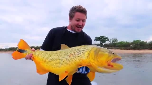 承德垂釣放魚信息_承德釣魚網_承德釣場