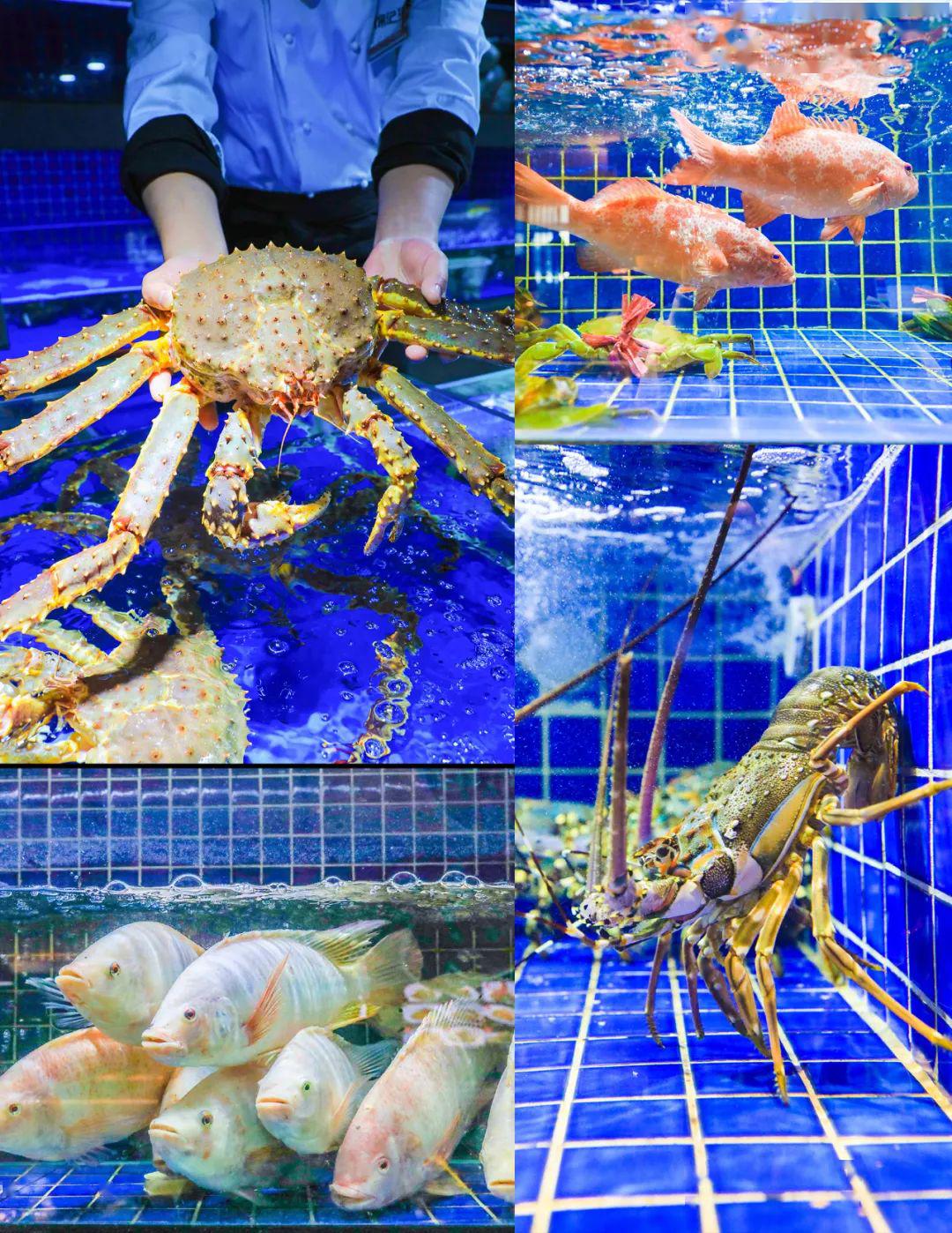 秦皇島海上釣魚平臺_秦皇島釣魚網_秦皇島釣魚微信群號碼多少