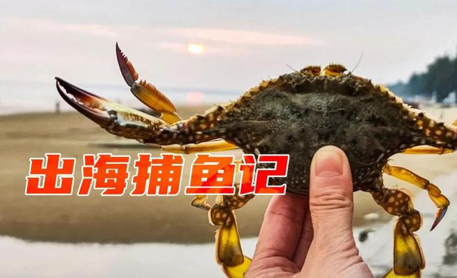 十歲前就能織漁網白廟漁村織大眼網用小號梭子