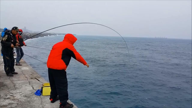 化紹新野釣鯉魚_化紹新釣魚視頻野釣_2020化紹新野釣鯽魚視頻