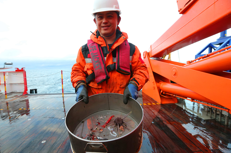 光頭強游戲釣魚_光頭強釣魚光頭強_光頭強野餐釣魚
