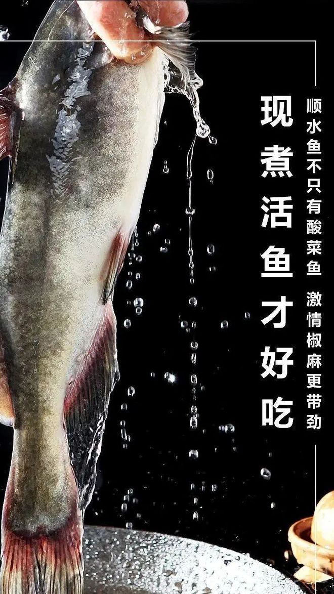 黃鱔寄身蟲_蟲寄生黃鱔體內有什么感覺_黃鱔體內有寄生蟲嗎