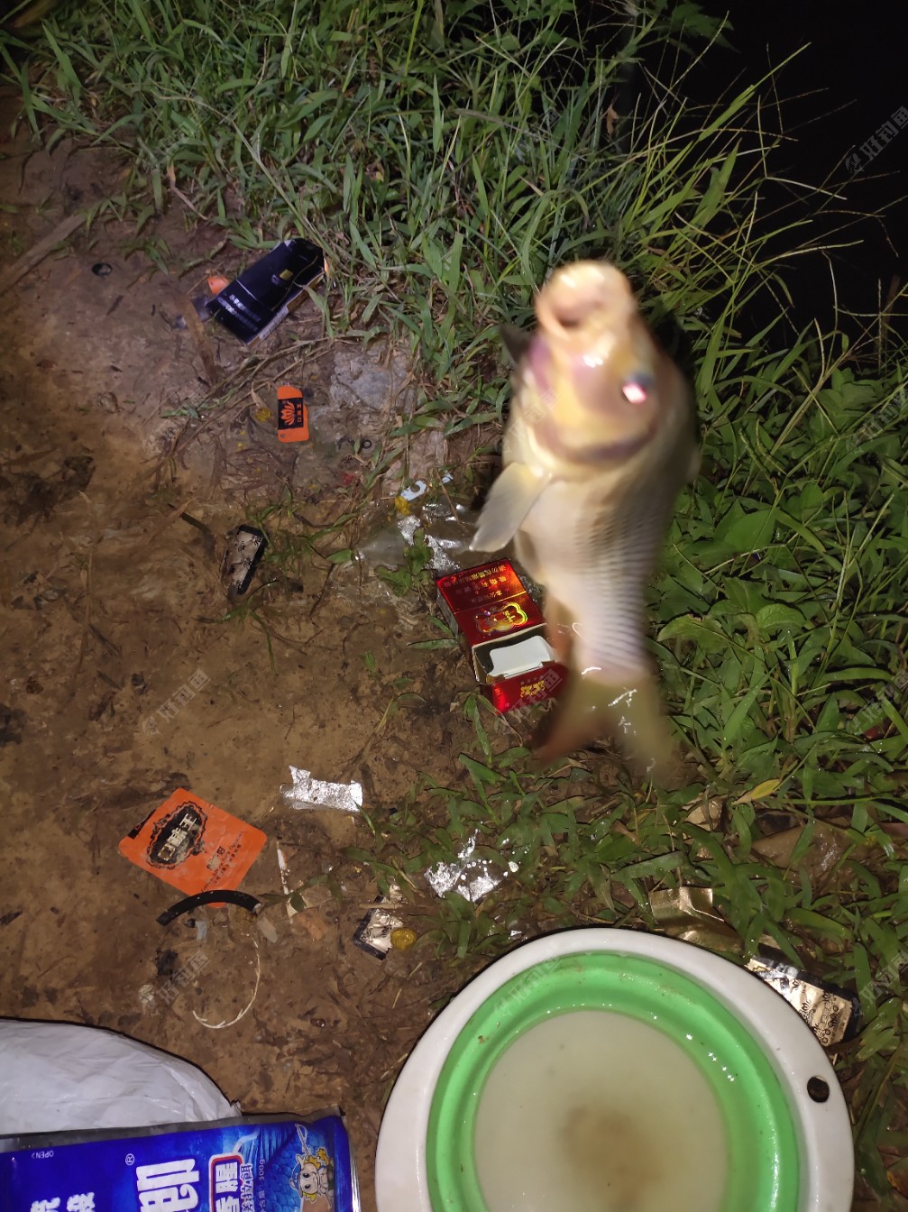 仿真釣魚游戲哪個好玩_仿真釣魚 游戲_釣魚仿真游戲手機版