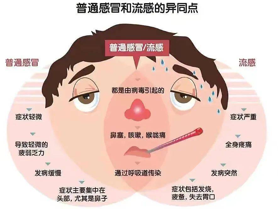 巴西龜肺炎治療_巴西龜肺炎怎么治_巴西龜肺炎泡什么藥