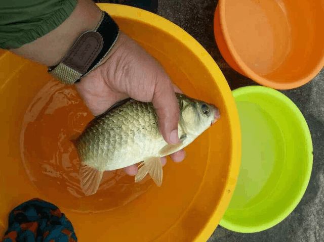 釣魚出海東西帶需要帶多久_出海釣魚需要帶什么東西_釣魚出海東西帶需要多長時間