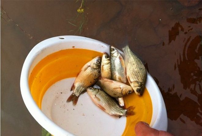 出海釣魚需要帶什么東西_釣魚出海東西帶需要帶多久_釣魚出海東西帶需要多長時間
