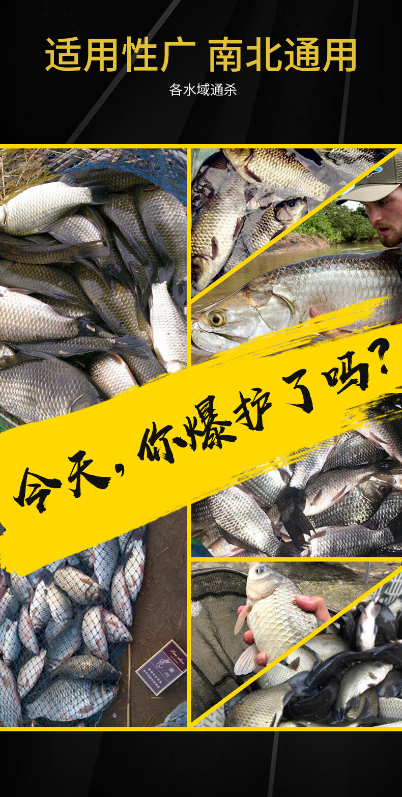 釣魚鯉魚小藥_釣鯉魚小藥怎么搭配_釣鯉魚用什么小藥最好
