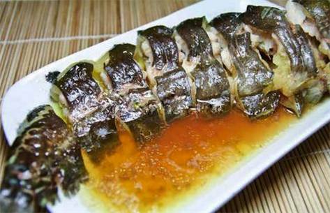鯰魚種類及圖片_鯰魚品種介紹_鯰魚種類大全圖解